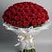 Букет 101 Красная роза Блэк Мэджик в Куркино