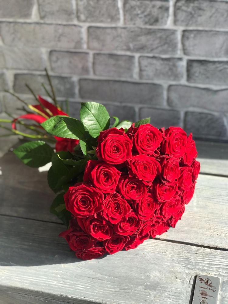 Букет Красные розы Фридом в Куркино