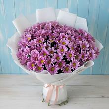 Букет цветов из:  Хризантемы #REPLACE_PRED# Куркино