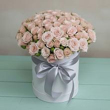 Цветочная композиция из Розы в шляпной коробке #REPLACE_PRED# Куркино