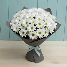 Букет цветов из:  Хризантемы в Куркино