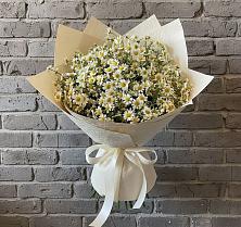 Букет цветов из:  Ромашки в Куркино