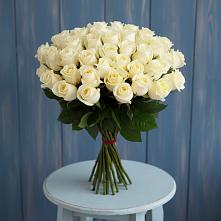 Букет 51 Белая роза Эдлесс Лав #REPLACE_PRED# Куркино