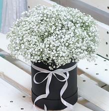 Цветочная композиция из Гипсофила в шляпной коробке в Куркино