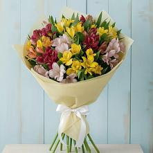 Букет цветов из:  Альстромерии в Куркино