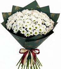 Букет цветов из:  Хризантемы в Куркино