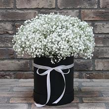 Цветочная композиция из Гипсофила в шляпной коробке #REPLACE_PRED# Куркино