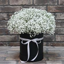 Цветочная композиция из Гипсофила в шляпной коробке в Куркино