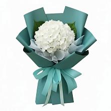 Букет цветов из:  Гортензия в Куркино